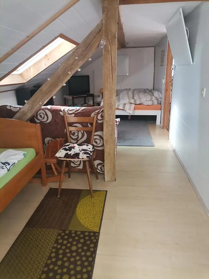 GästeZimmer im DG Dachschräge mit kleinem Bad WLAN, TV und Parkplatz Lachen Apartment