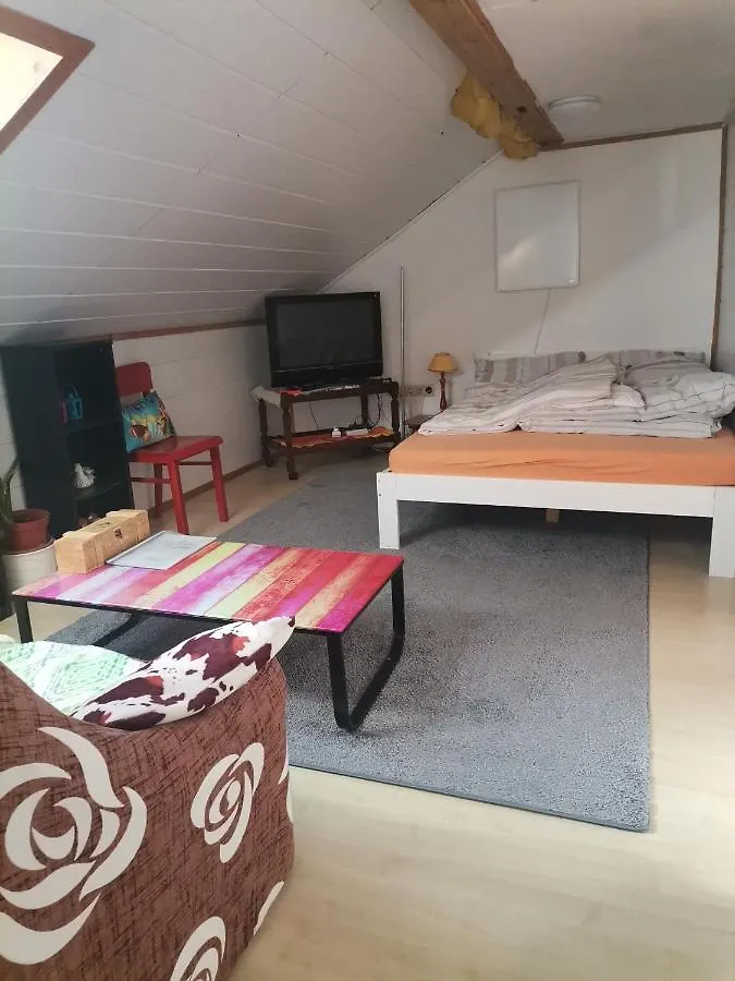 Apartment GästeZimmer im DG Dachschräge mit kleinem Bad WLAN, TV und Parkplatz Lachen Deutschland