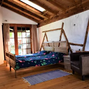 Casa Madera 1 , Icod De Los Vinos Spanien